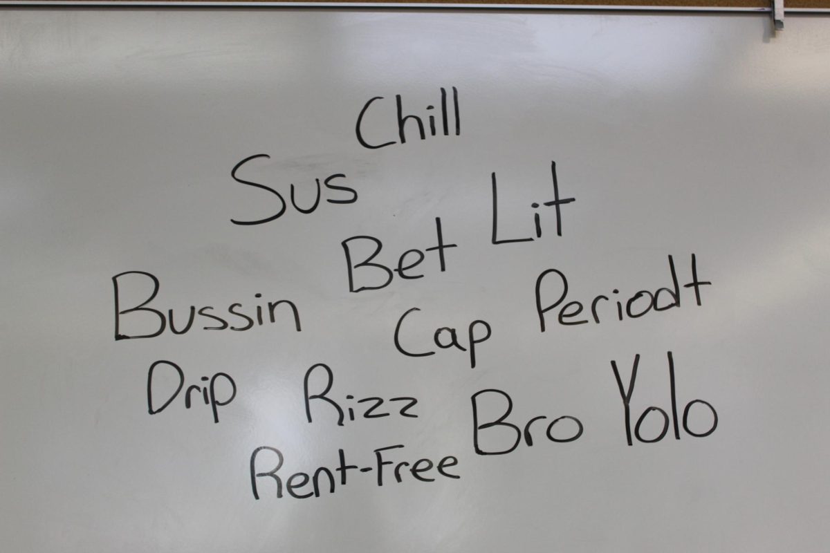 Some of the many examples of slang used by Summerville students. 